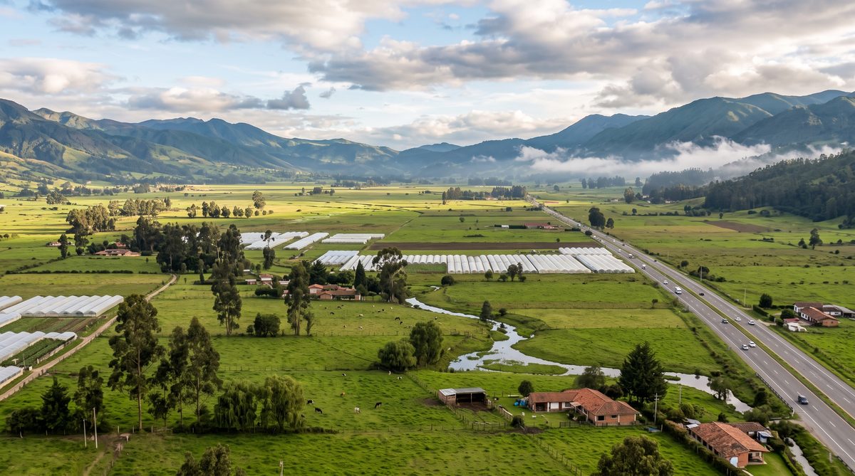 Sabana de Bogotá y Universidades